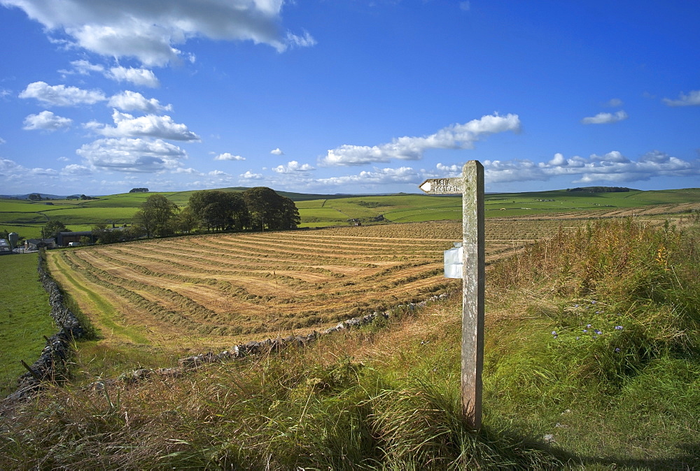 Vew from the High Peak Trail cycleway and footpath along disused railway line, Peak District National Park, Derbyshire, England, United Kingdom, Europe