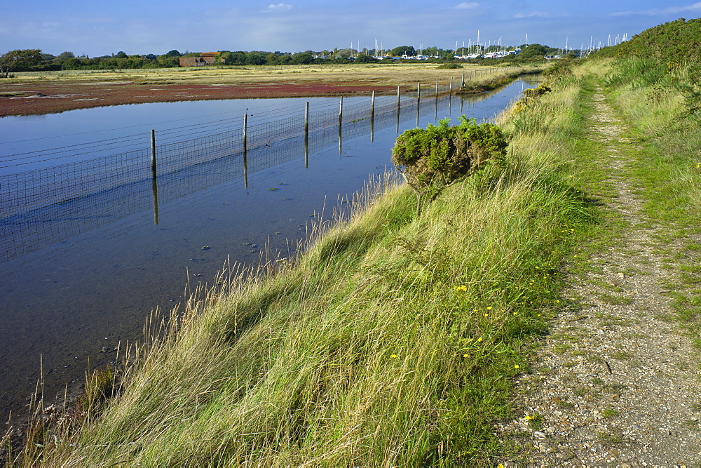 View of salt marshes from the Solent Way footpath, New Forest National Park, Lymington, Hampshire, England, United Kingdom, Europe