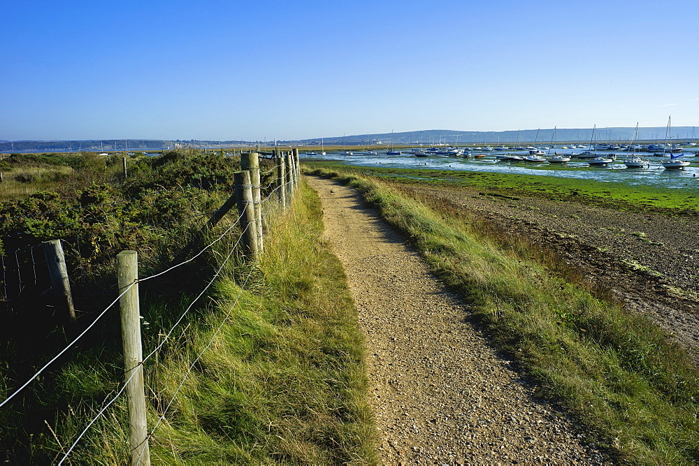 Salt marsh and the Hampshire coast, Hurst Spit, Keyhaven, Hampshire, England, United Kingdom, Europe