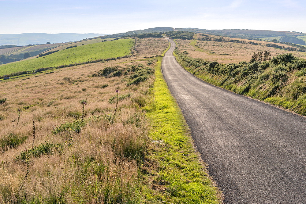 View from North Hill of Bossington Hill, Minehead, Somerset, England, United Kingdom, Europe