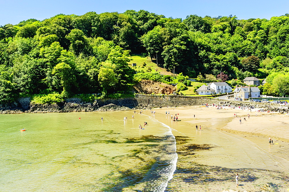 North Beach Bay, Salcombe, Devon, England, United Kingdom, Europe