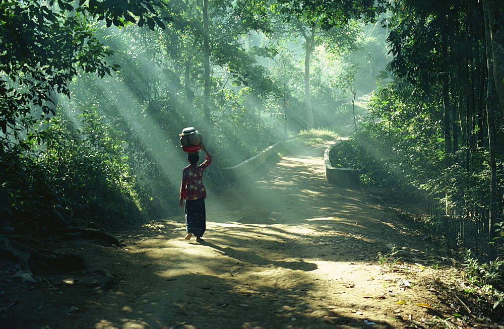 Woman carrying coconuts to market, Peliatan, Bali, Indonesia, Southeast Asia, Asia