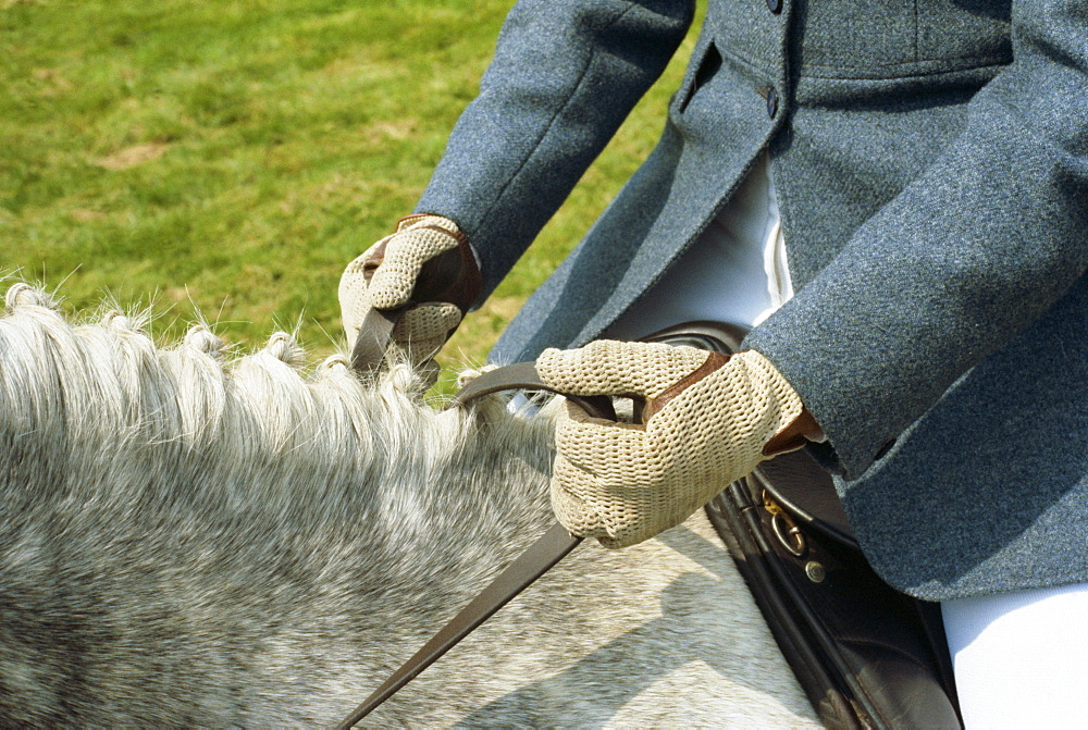 Continental holding reins, England, United Kingdom, Europe