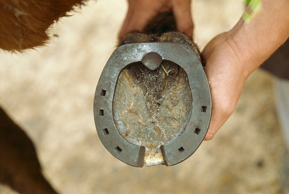 Cut away shoe, England, United Kingdom, Europe