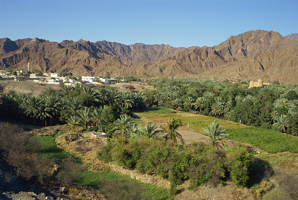 View over the oasis town of Bithnal, Arabian Mountains, United Arab Emirates, Middle East