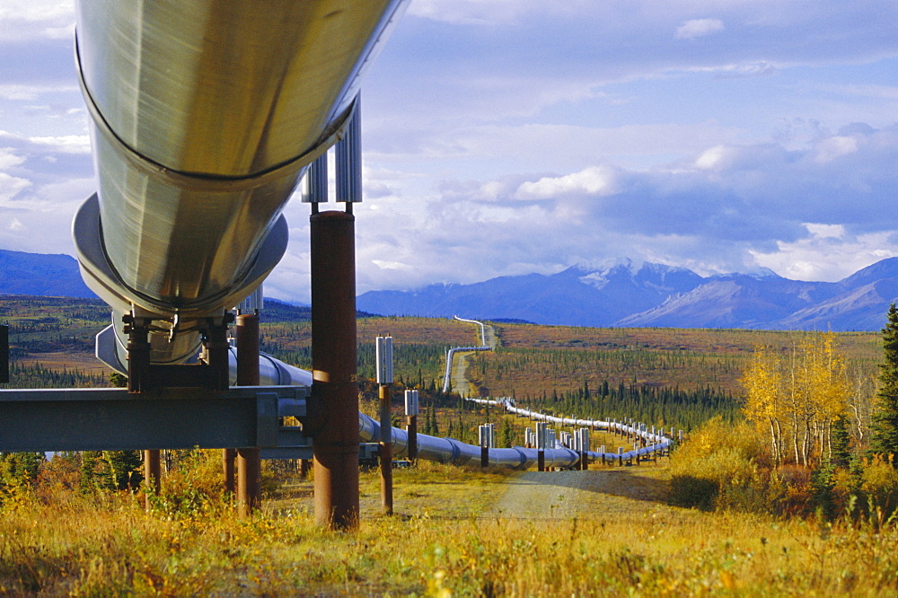 Trans Alaska oil pipeline across taiga through Alaskan Range carried on insulated ground piles, Alaska, USA