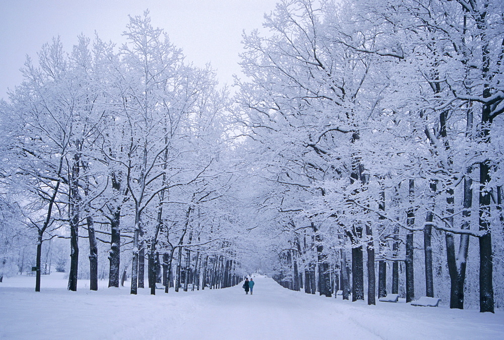 Catherine's Park in February, Tsarske Seloe (Puskin), St. Petersburg, Russia