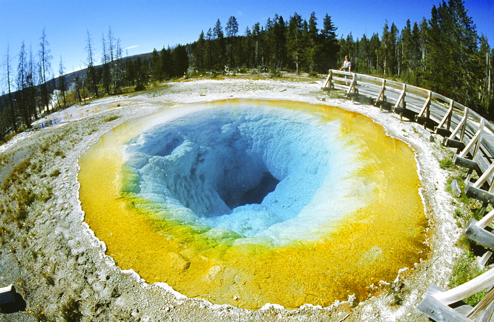 Morning Glory Pool, a geothermal pool, colours are due to algae at temperature bands, hotter below, Yellowstone National Park, Wyoming, USA