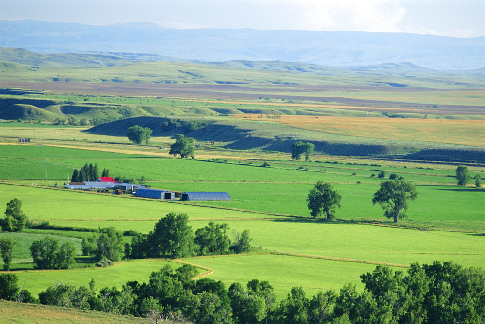 The great grasslands valley of the Little Bighorn River, near Billings, Montana, USA