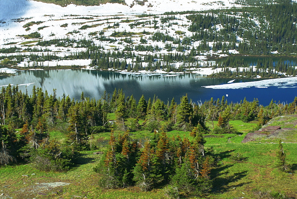 Hidden Lake, near Logan Pass, Glacier National Park, High Rocky Mountains, Montana, United States of America, North America