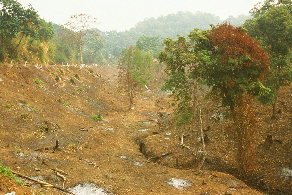 Deforestation for farmland, cleared by slash and burn, Mogok Hills, Mandalay District, Myanmar (Burma), Asia