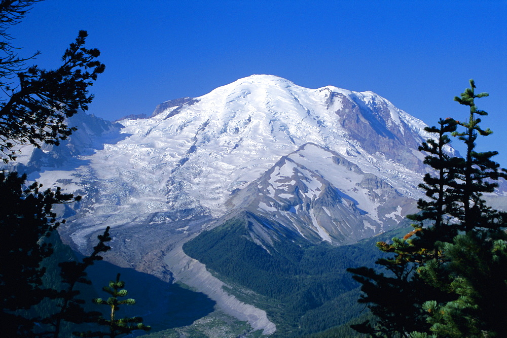 Mount Rainier, volcanic peak, and Emmons Glacier from summit icefield, Cascade Mountains, Washington State, United States of America (U.S.A.), North America