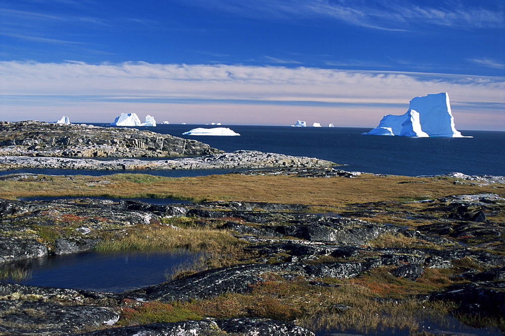 Shore platform with autumn tundra, Qeqertarsuaq (Godhavn), Disko Bay, Island, west coast, Greenland, Polar Regions