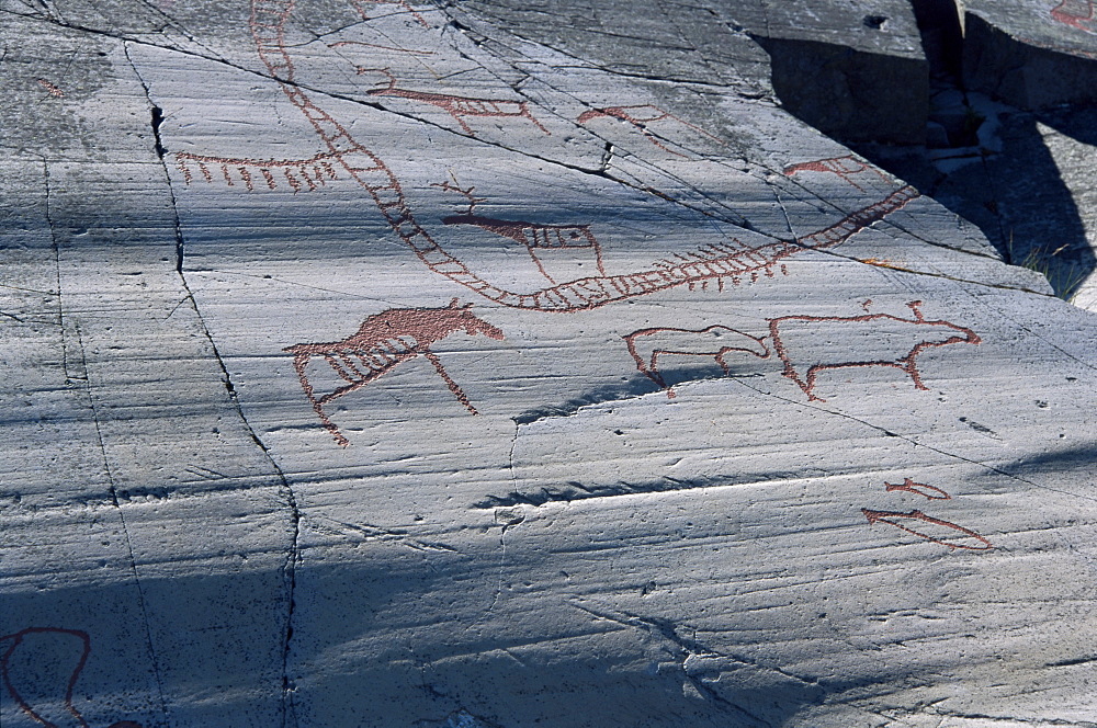 Rock carvings between 2000 and 6000 years old on ice striations, Hjemmeluft UNESCO World Heritage Site, Alta, Finnmark, Norway, Scandinavia, Europe