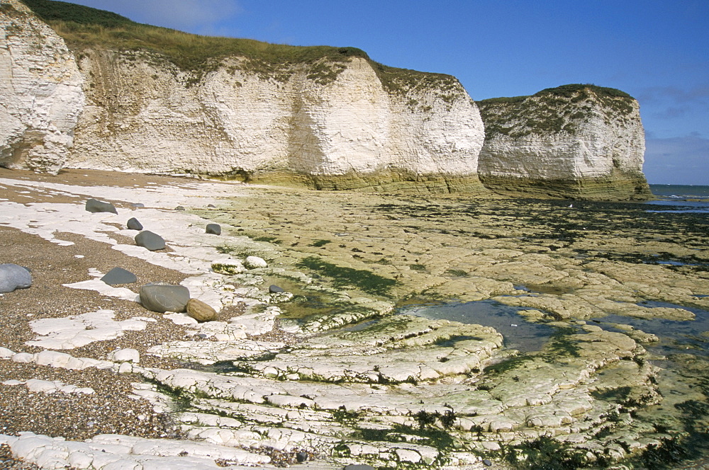 Wave-cut platform, and chalk cliffs, Flamborough South Landing, Yorkshire, England, United Kingdom, Europe