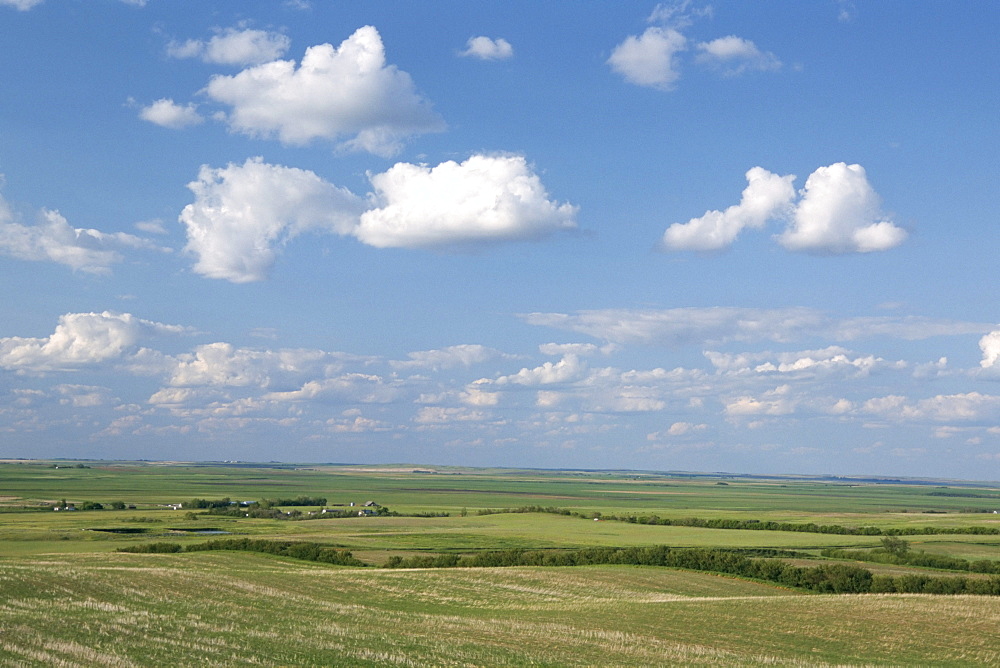 Prairie farmland, North Dakota, United States of America, North America