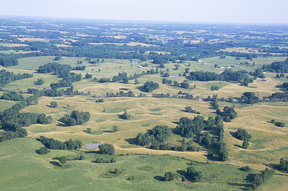 Sinkhole Plain, polygonal doline karst, near Mammoth Cave, Kentucky, United States of America, North America