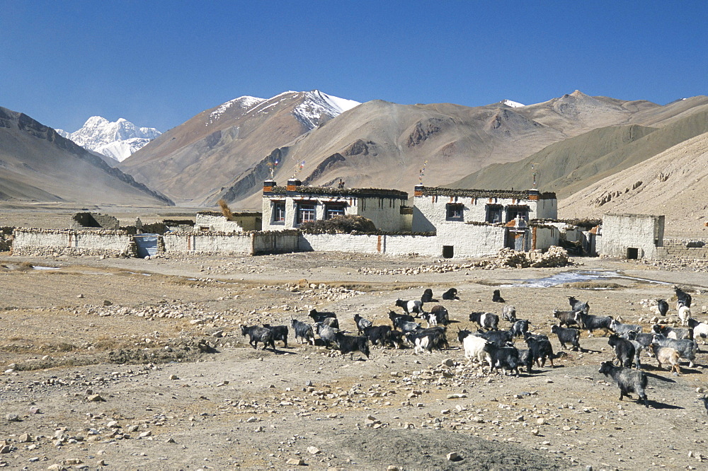 Village in Ra valley above Tingri, Cho Oyu and Himalayas in distance, Tibetan Plateau, Tibet, China, Asia