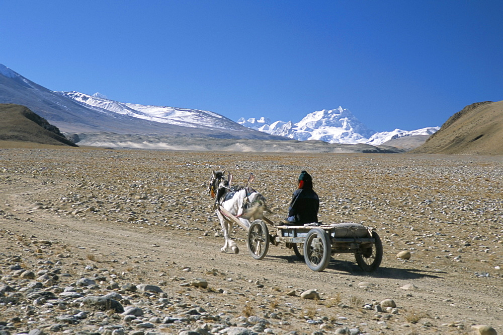 Farmer going home near Tingri, Cho Oyu and Himalayas in distance, Tibetan Plateau, Tibet, China, Asia