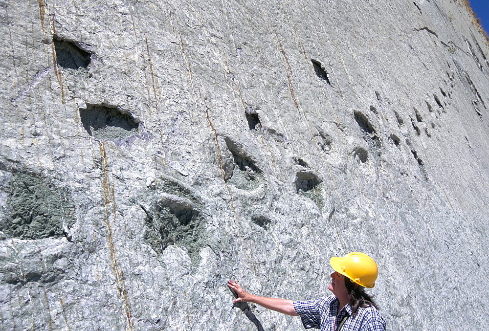 The world's longest dinosaur tracks, Cretaceous Titanosaurus, near Sucre, Bolivia, South America