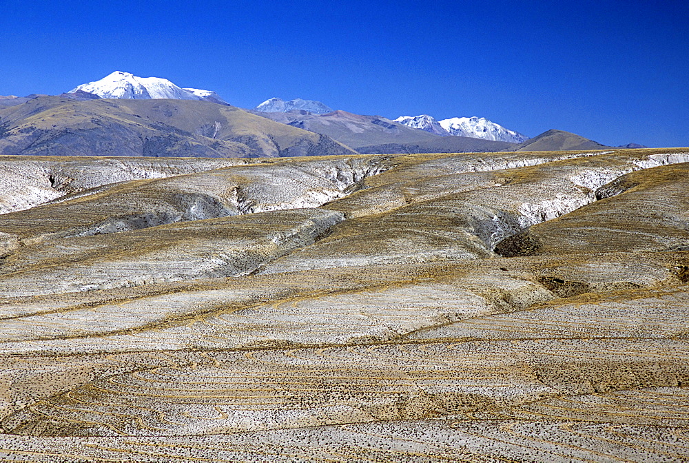 Altiplano desert plateau, near Arequipa, Peru, South America