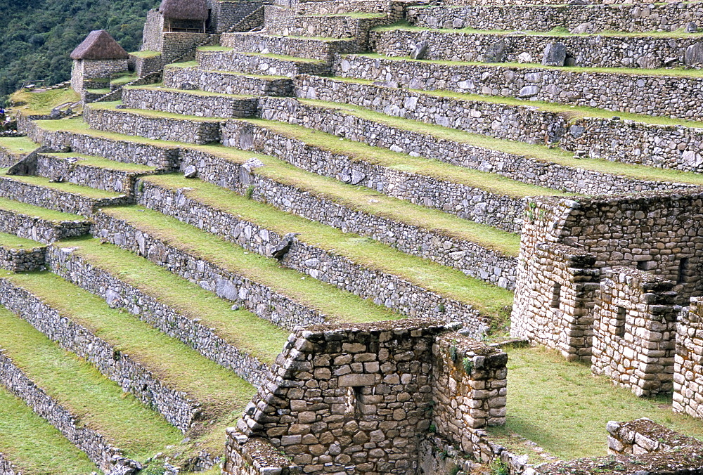 Agricultural terraces in ruins of Inca site, Machu Picchu, UNESCO World Heritage Site, Peru, South America