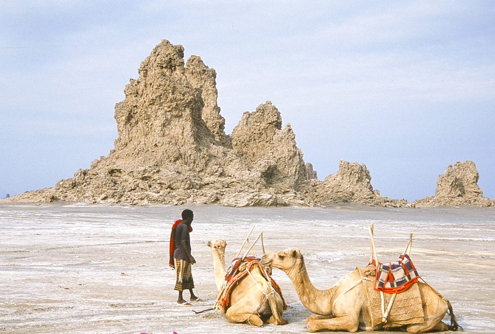 Tufa towers at Lac Abhe (Abbe), formed by hot springs beneath old lake at higher level, Afar Triangle, Djibouti, Africa