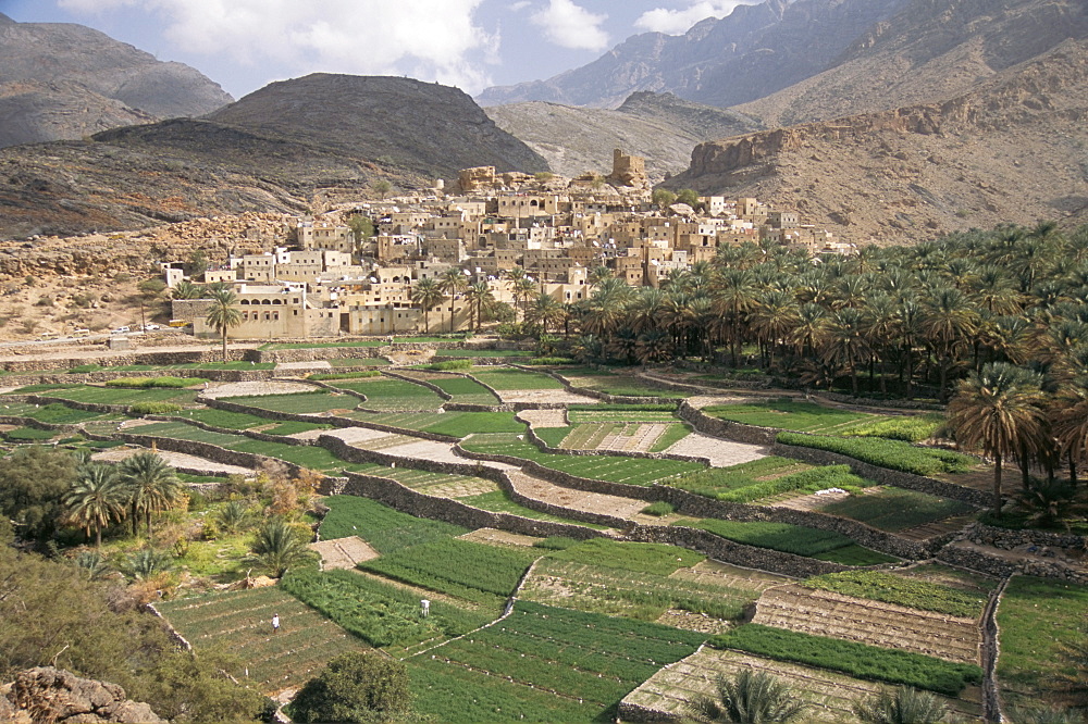 Traditional jabali village with palmery in basin in Jabal Akhdar, Bilad Sayt, Oman, Middle East