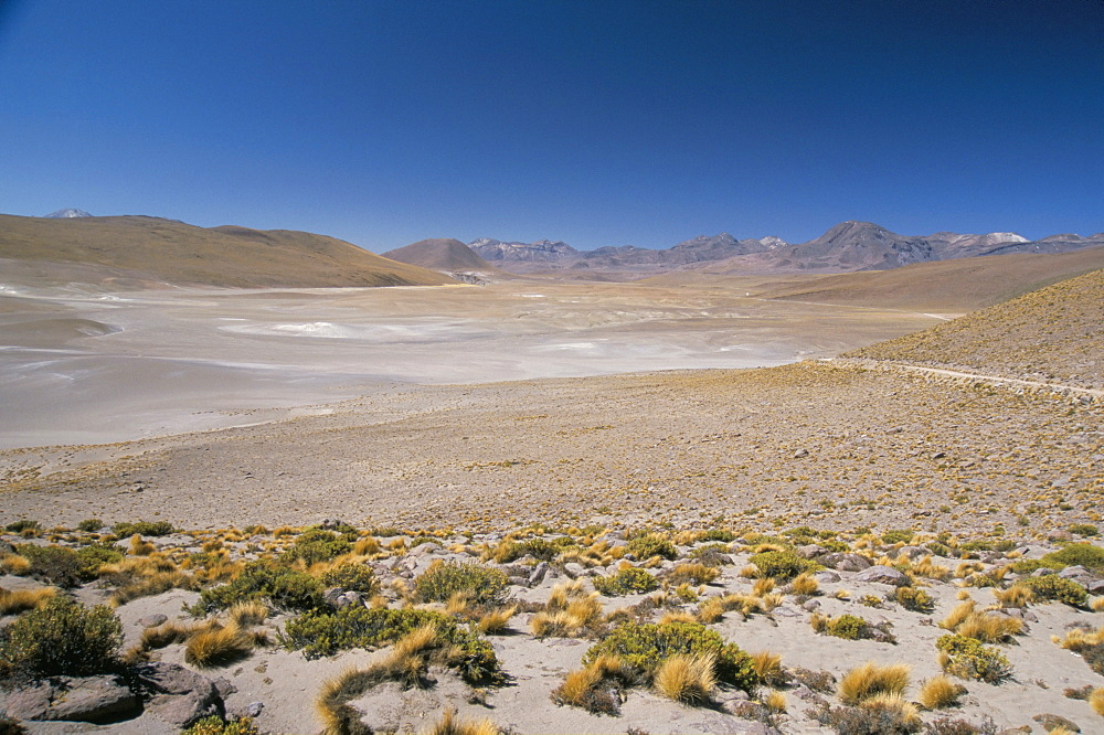 Altiplano and high-level volcanoes, El Tatio basin, above Calama, Atacama Desert, Chile, South America