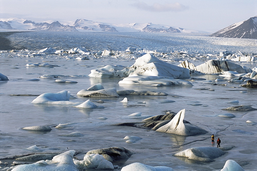 Icebergs frozen into lake ice in winter, ice lake by ring road, Jokulsarlon, Vatnajokull, Iceland, Polar Regions