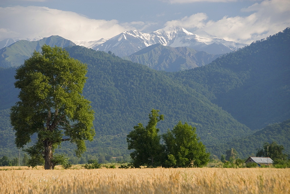 View towards Russian frontier lying along crest of the Caucasus Mountains (Greater Caucasus Range), seen from near Shaki, Azerbaijan, Central Asia, Asia