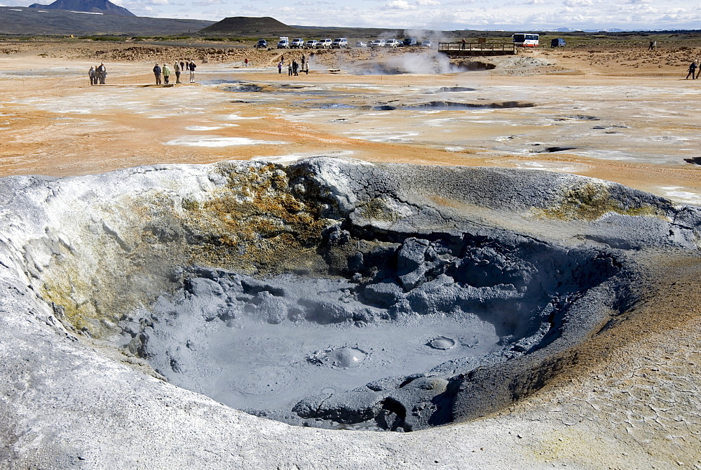 Boiling mud pool, Namafjall geothermal area, near Lake Myvatn, northeast area, Iceland, Polar Regions