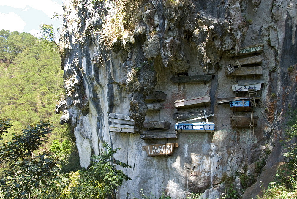 Animist hanging coffins still in use today, on limestone cliff in Echo Valley, Sagada, Cordillera, Luzon, Philippines, Southeast Asia, Asia