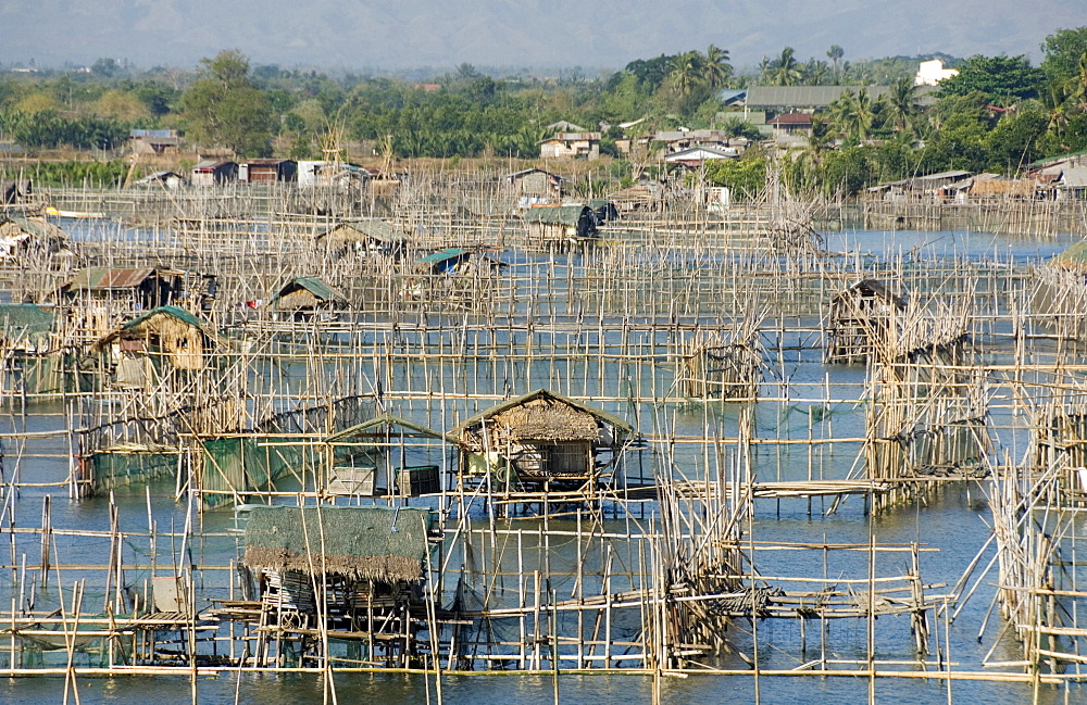 Fish pens in channel through wetlands at south end of Lingayen Gulf, near Dagupan, northwest Luzon, Philippines, Southeast Asia, Asia