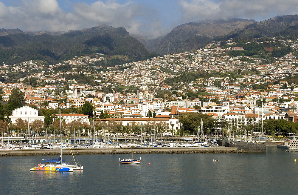 Funchal, Madeira, Portugal, Atlantic, Europe 