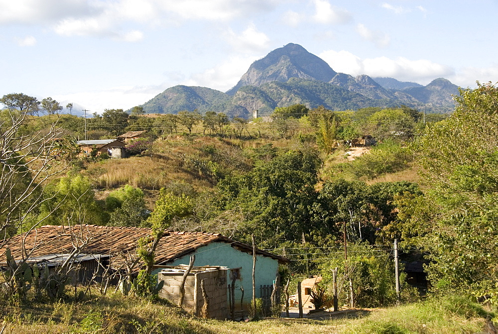 Sierra Madre de Chiapas, Mexico, North America 