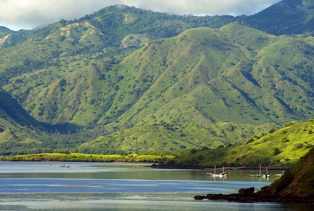 Island of Pulau Komodo, Nusa Tenggara, Indonesia, Southeast Asia, Asia