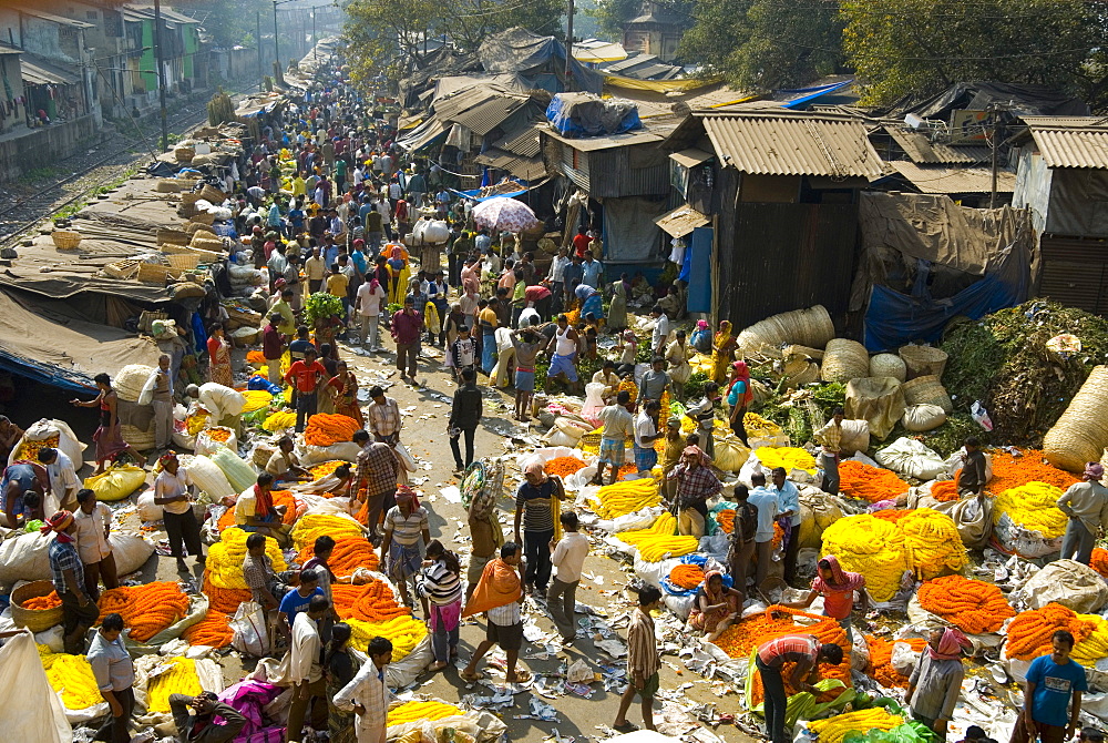 Armenia Ghat flower market, Kolkata (Calcutta), West Bengal, India, Asia