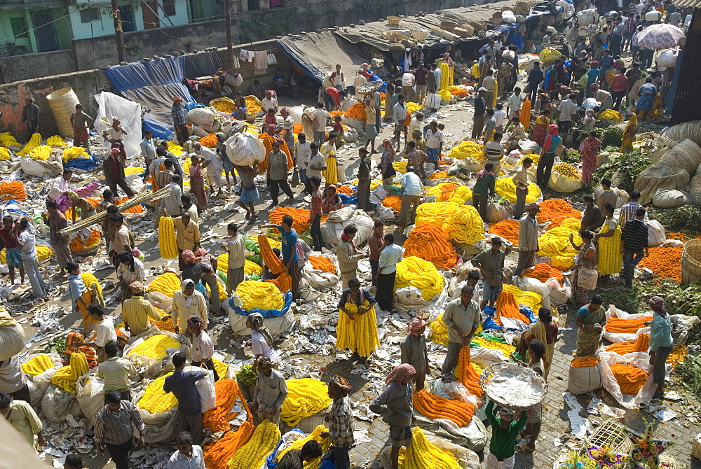 Armenia Ghat flower market, Kolkata (Calcutta), West Bengal, India, Asia