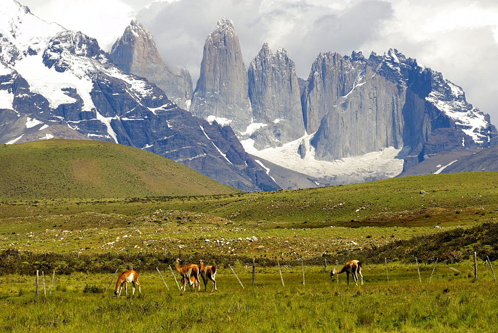 Torres del Paine, east faces of the granite towers, Torres del Paine National Park, Patagonia, Chile, South America