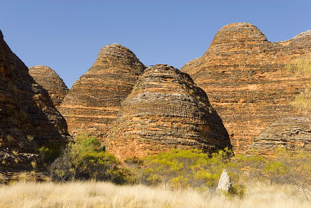 Sandstone hills in The Domes area of Purnululu National Park (Bungle Bungle), UNESCO World Heritage Site, Western Australia, Australia, Pacific 