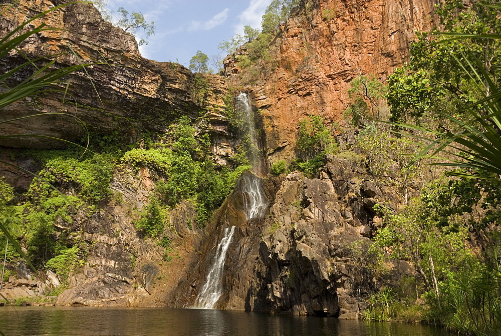 Tjaynera Falls and waterhole on Sandy Creek, Litchfield National Park, Northern Territory, Australia, Pacific 