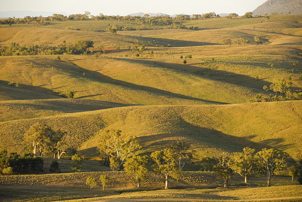 Bunkers Ranges, seen from Stokes Hill, Flinders Ranges National Park, South Australia, Australia, Pacific 