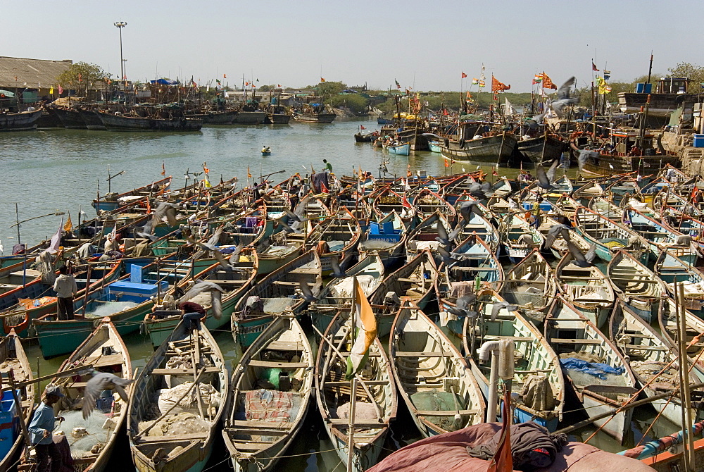 Fishing boat harbour, Porbander, Gujarat, India, Asia 