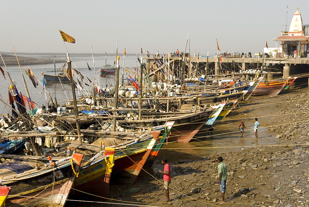 The fishing harbour on the Daman Ganga River, Daman, Gujarat, India, Asia 