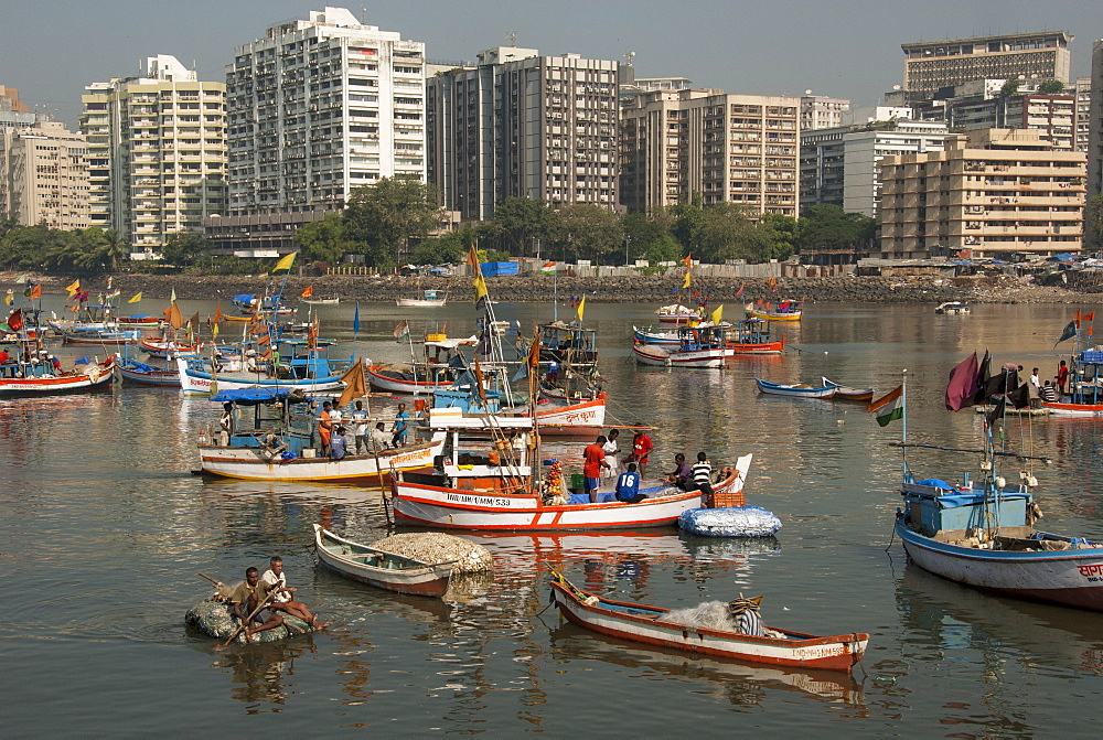 Colaba fishing fleet lands its catch in Back Bay, southern end of Mumbai city, Maharashtra, India, Asia