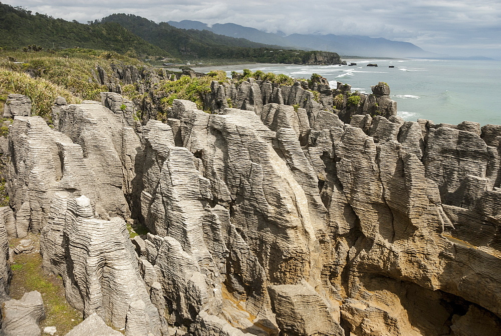 Thin-bedded Oligocene Cobden limestone, Punakaiki, Pancake Rocks, Greymouth, South Island, New Zealand, Pacific