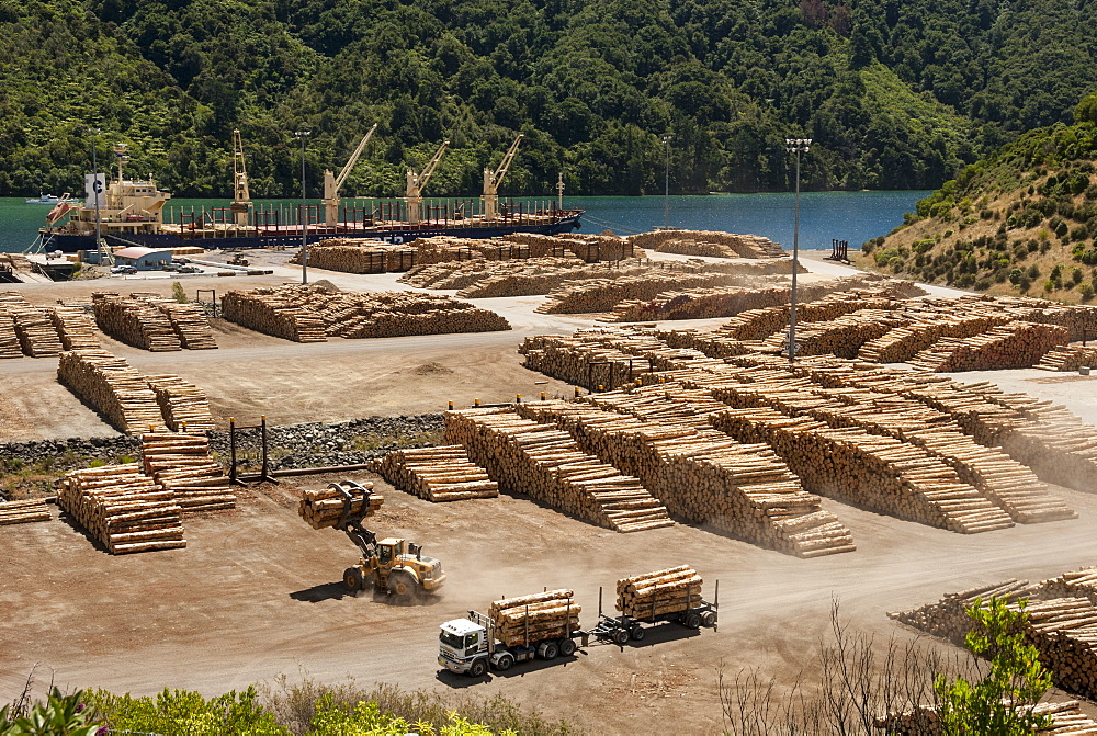 Timber port, Okiwa Bay, Marlborough Sounds, South Island, New Zealand, Pacific