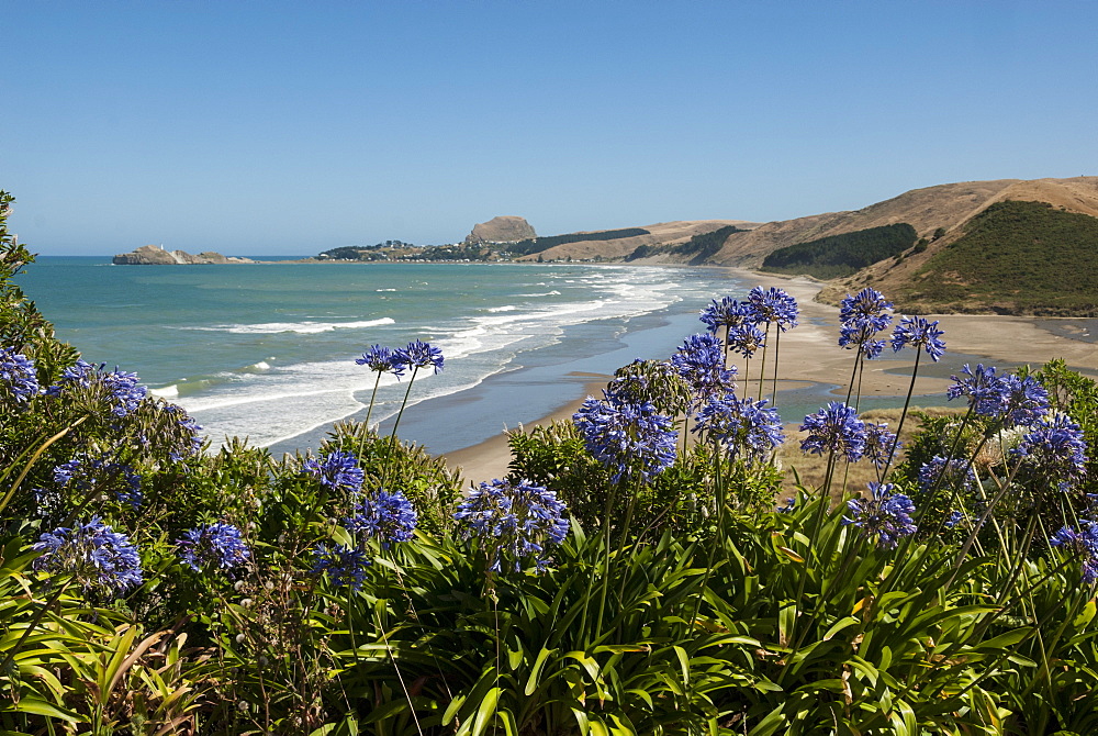 Castlepoint, southeast coast, North Island, New Zealand, Pacific