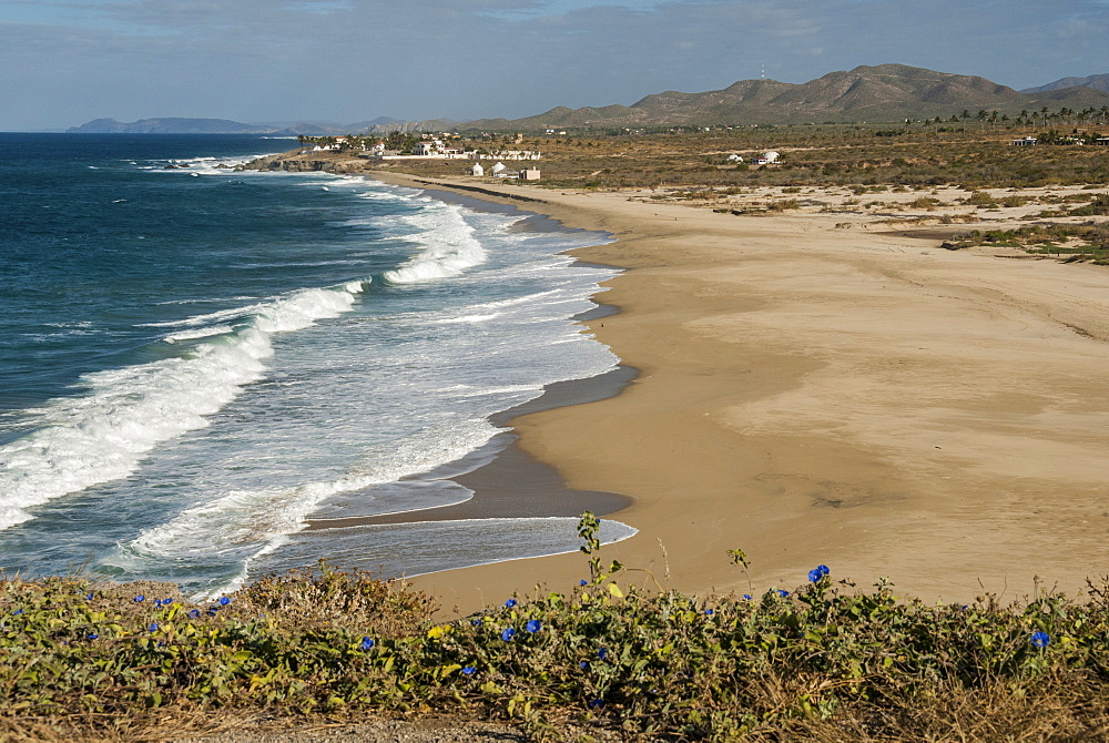 Punta Gasparena, Pacific coast south from Todos Santos, Baja California, Mexico, North America